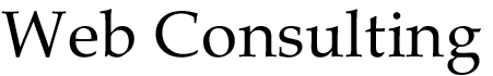 Web Consulting
