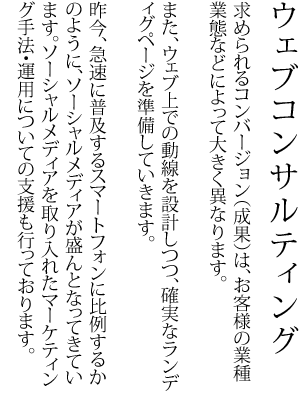 ウェブコンサルティング